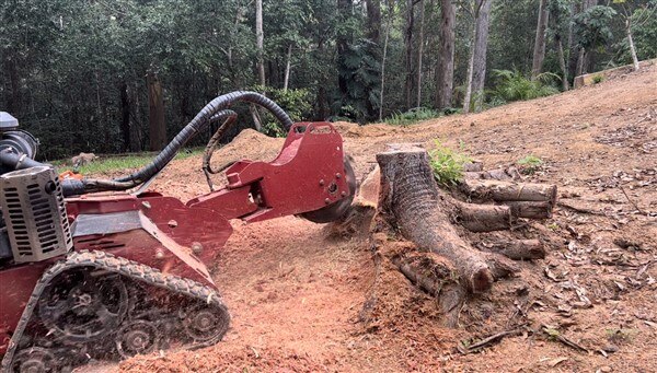 Tree Stump Grinding in Sunshine Coast Stumpworks QLD